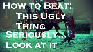 How to Beat Phorid in Warframe [upl. by Alahs42]