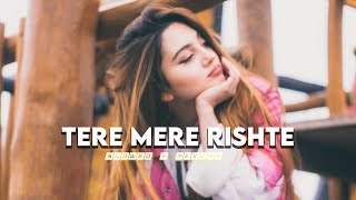 Tere Mere Rishte Nu slowed  reverb new punjabi song 2023  new Bollywood song  gwlofi007 [upl. by Netsirhk]