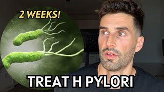 Natural H pylori Treatment Regimen That Works With Research [upl. by Noffets248]