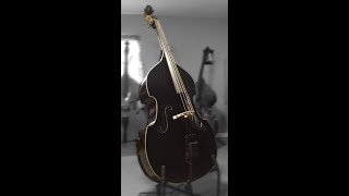 Gollihur Music Estle Louis quotEdquot Rockabilly Bass Demo [upl. by Ardnahc853]