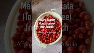 Making Passata Tomato Puree from scratch A family affair in Apulia 🍅 tomatopuree tomatosauce [upl. by Aivizt]