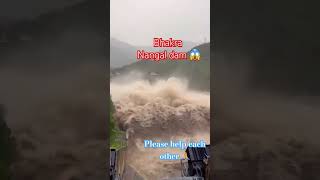 flood gate open Bhakra Nangal dam😱 shorts2023 flood2023 dam floodgate [upl. by Milty89]