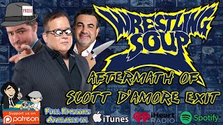 Aftermath of Scott DAmores TNA Exit [upl. by Josephson211]