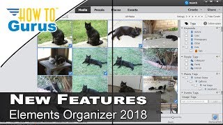 How You Can Use the Photoshop Elements Organizer 2018 New Features and Tools [upl. by Nomed851]