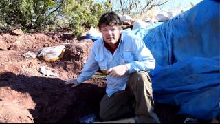 Rare Nearly Complete Dimetrodon Found HMNS Paleontology [upl. by Iz]