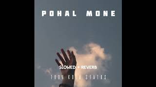 POHAL MONE SANTALI ll SLOWED  REVERB [upl. by Graves438]