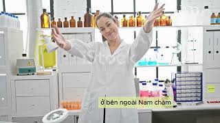 Từ trường của nam châm Mr Thành [upl. by Ricarda]