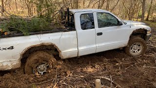 Cutting A New Road amp Getting The BushBuggy Stuck [upl. by Dasi]