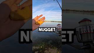 Fishing With A DINO NUGGET fishingvideo fishing shorts [upl. by Garrick779]