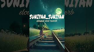 SUNIYAN SUNIYAN SLOWED AND REVERB SONG SUNTAN SUNIYAN RATAAN TY GALLA DE VICH TU HY [upl. by Ingham]