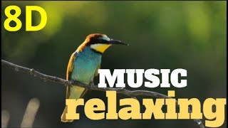 🎧8DMusic RELAXING nature sound birdsmeditationcalmpeace audio 8D [upl. by Nilkoorb629]