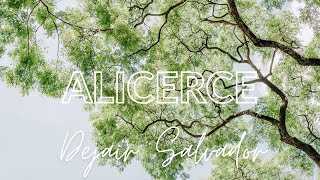 ALICERCE [upl. by Finer]