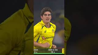 IS THIS A SIX OR A WICKET AUSvPAK SportsCentral Shorts PCB MM2A [upl. by Aknaib]