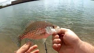 Crappie Fishing Behind Sams Club Part 2 [upl. by Estas]