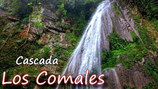 Cascada Los Comales  Xilitla  Pueblo Mágico  San Luis Potosí [upl. by Eneroc887]