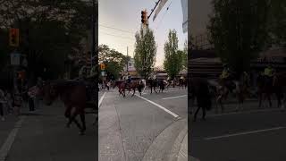 mounted police vancouvervibes [upl. by Ogait]