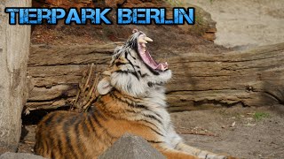 Der Tierpark Berlin hat geöffnet  Europas größter Tierpark  Daily Vlog 21 [upl. by Boylston]