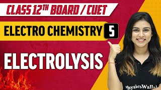 Electrochemistry 05  Electrolysis  Class 12thCUET [upl. by Kraul108]