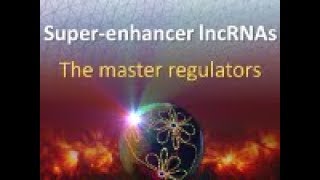 SE lncRNAs  The master regulators [upl. by Braca]