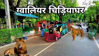 Gwalior Zoo  Gandhi Prani Udyan  ग्वालियर चिड़ियाघर  Gwalior India [upl. by Ahsiuqat555]