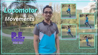 Locomotor movements explained [upl. by Renba]