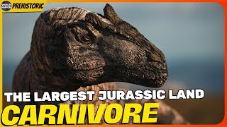 This Was The Largest Jurassic Carnivore To Exist [upl. by Delmor794]