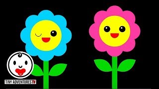 Baby Sensory  Dance Series  Flowers  High Contrast Color Animation fun video for baby [upl. by Mezoff]