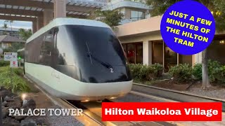 A few minutes of the Hilton Waikoloa Village tram in Kona Hawaii Big Island hawaii waikoloa [upl. by Avonasac]