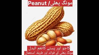 Peanut مونگ پھلی peanut health benefitspeanutbutter youtubeshorts health [upl. by Addiel707]