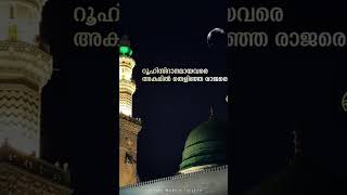 madh song in Malayalam [upl. by Tennes]