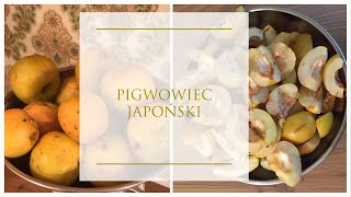 NALEWKA Z GÓRNEJ PÓŁKI z pigwowca japońskiego [upl. by Aleihs]