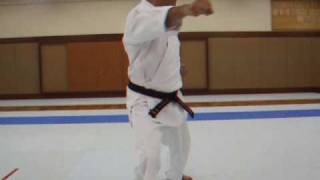 Israel Shotokan Eli Cohen Heian Sandan Slow [upl. by Aramanta]