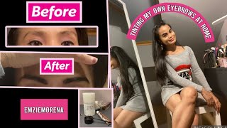 REFECTOCIL eyebrows tint at home practicemakesperfect 🤎 [upl. by Ynittirb]