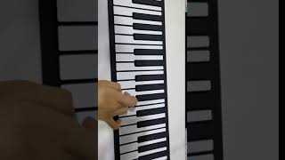 49Key Flexible Roll Up Piano [upl. by Dnomasor]