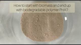 How to make the biodegradable polymer PHA [upl. by Llenad]