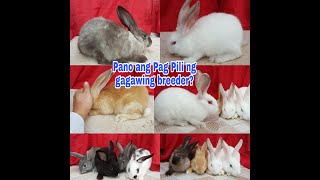 Pano pumili ng gagawing breeder [upl. by Cohla785]