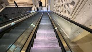 Otis Escalators at the Palazzo in Las Vegas Nevada [upl. by Baggett]