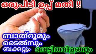 വെറും ഉപ്പുകൊണ്ട് മഞ്ഞകറപിടിച്ച ബക്കറ്റും ടൈൽസും ബാത്‌റൂമുംവരെ വെട്ടിതിളങ്ങുംBathroom cleaning tips [upl. by Adaline]