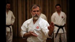 Asai Kata Dai Itsu KenBassai Kihon and Bunkai step by step Dormenko Sensei 8 dan [upl. by Annitsirhc]