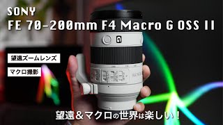 【SONY FE 70200mm F4 Macro G OSS II】望遠ズームレンズ！望遠レンズでマクロ撮影も出来る！高い描写性能でコンパクトサイズ！動画でも使える！【SEL70200G2】 [upl. by Ellekim]