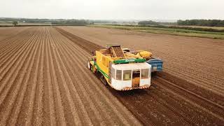 PLOEGER AR4BX WITH PICKING TABLE POTATO LIFTING NORTH YORKSHIRE 09102021 [upl. by Odnalro]