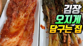 36년된 보물같은 식당 갓김치파김치김장김치를 삼겹살로 말아먹는 집 [upl. by Piscatelli]