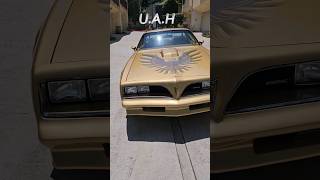 Pontiac Trans am pontiac firebird trans am musclecar classiccars americancar 400cars shorts [upl. by Leba]