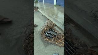 Cleaning Culvert Drain Rain Water unclog remove drain rainwater shorts [upl. by Adnalro]