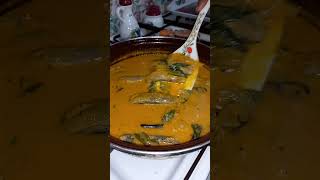 MASALA FISH CURRY RECIPE  FISH CURRY RECIPE  FISH CURRY BY SPICE EATS [upl. by Iggem773]