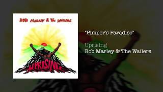 Pimpers Paradise 1991  Bob Marley amp The Wailers [upl. by Pansir]