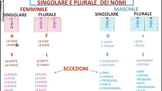 SINGOLARE E PLURALELEZIONE 10 [upl. by Anyek]