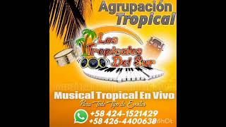 COBARDIA Los Tropicales del sur [upl. by Rosenberger511]