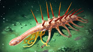 What on Earth Was Hallucigenia [upl. by Sral]