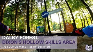 Dalby Forest Dixons Hollow MTB Upper Skills Area For Beginners [upl. by Ahsaelat]